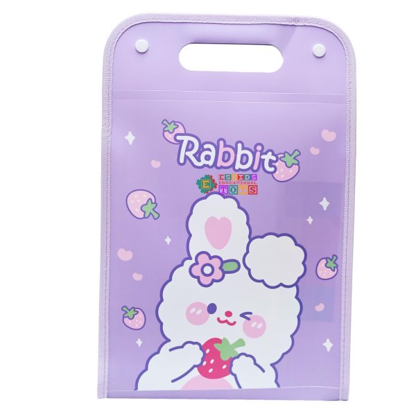 Cartoon File Organizer Folder