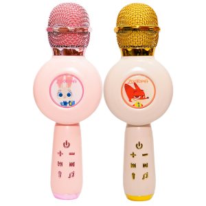 Kids Wireless Karaoke Microphone Toy
